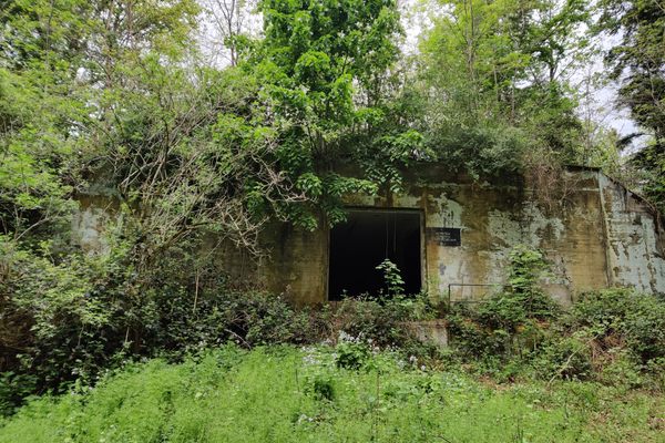 Bunkers in Staatswald