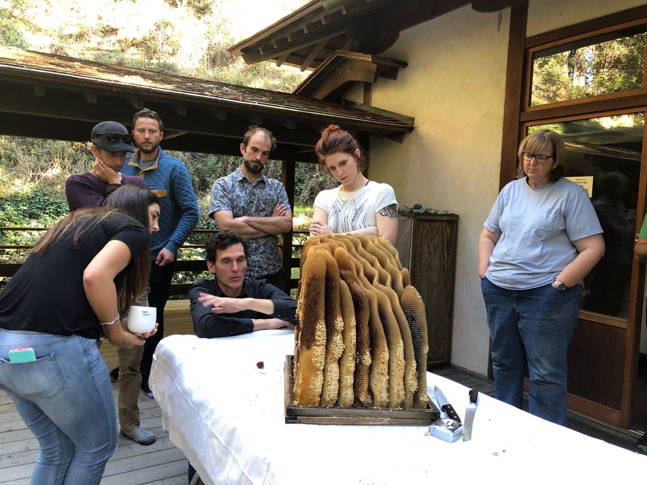 Thiele teaches apiculture techniques that are in line with natural bee instincts.
