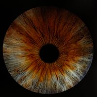 Profile image for nosloasil
