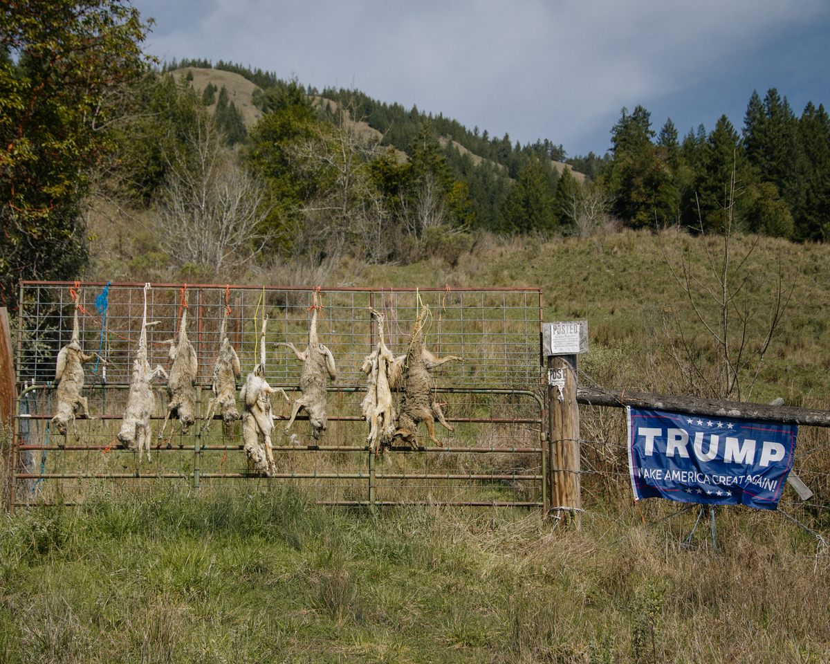 Powers, Oregon, 2019.