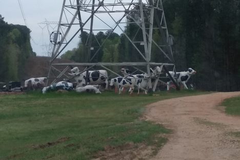 Cow Tower