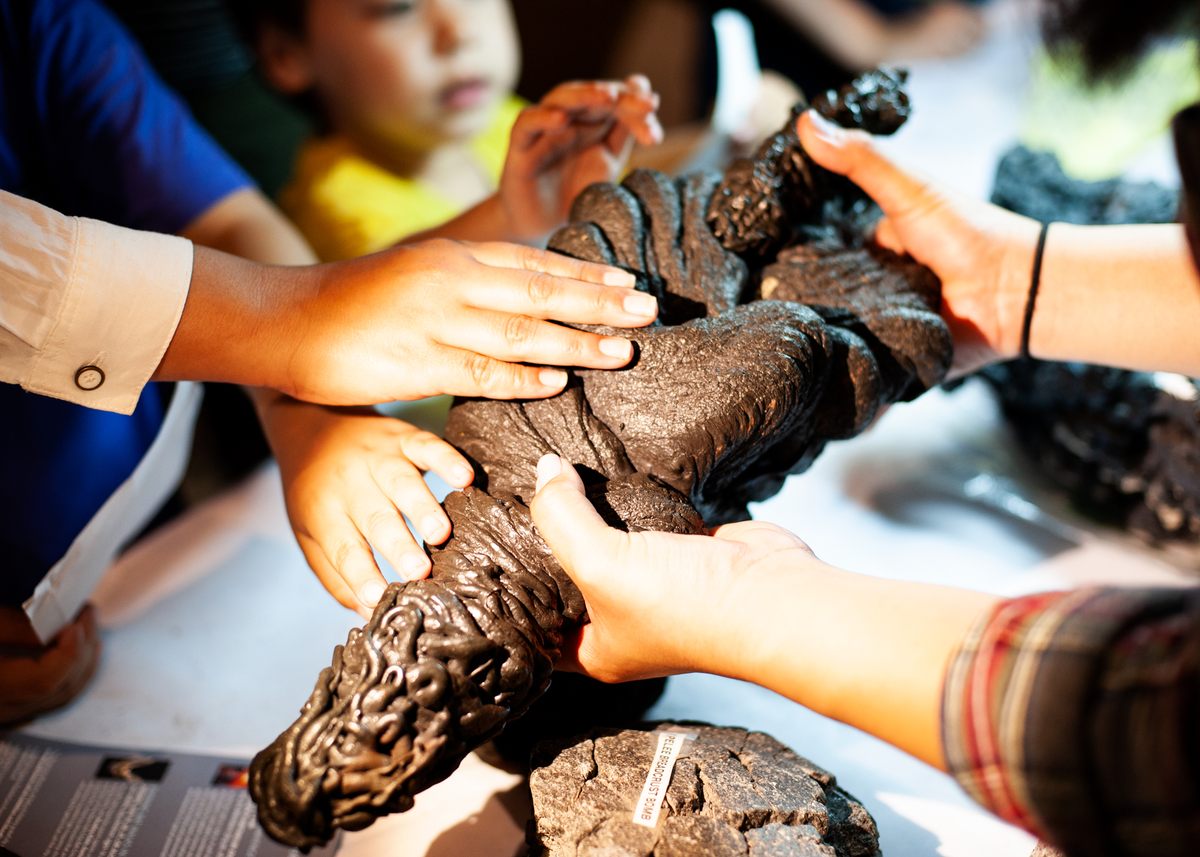 Kids get to touch casts and specimen.