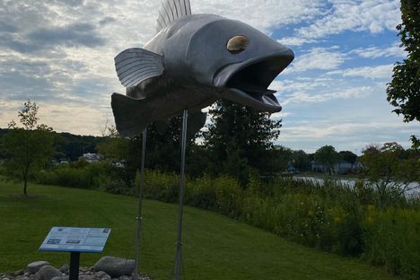 Giant fish sculpture