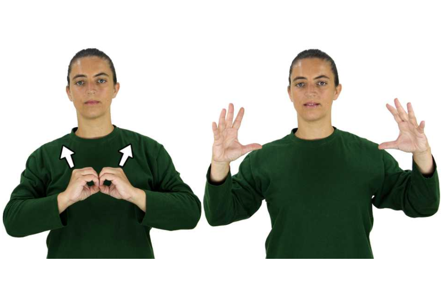 "Big Bang" in Spanish Sign Language.