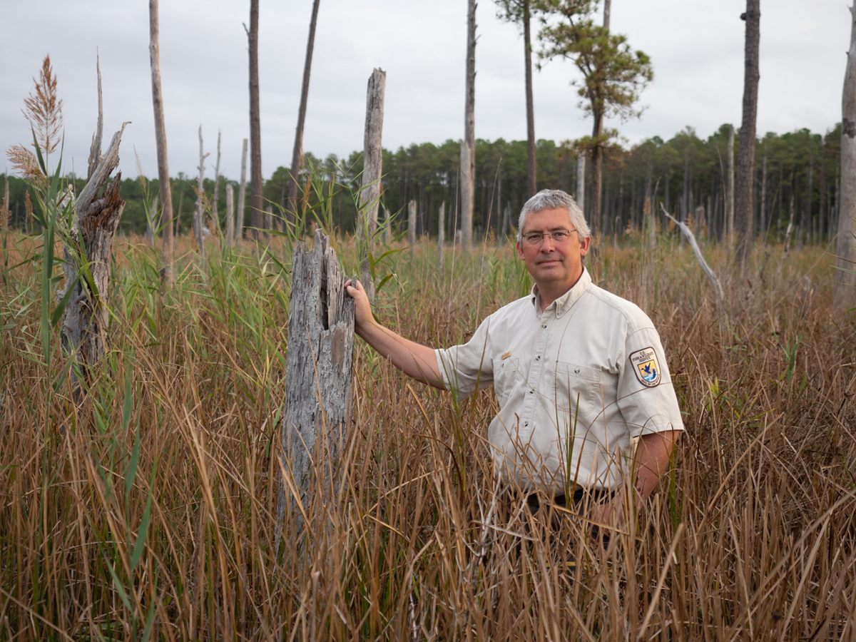 U.S. Fish and Wildlife Service biologist Matt Whitbeck in Money Stump Swamp.