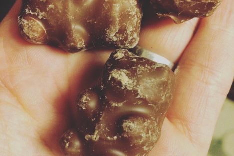Chocolate-Covered Cinnamon Bears