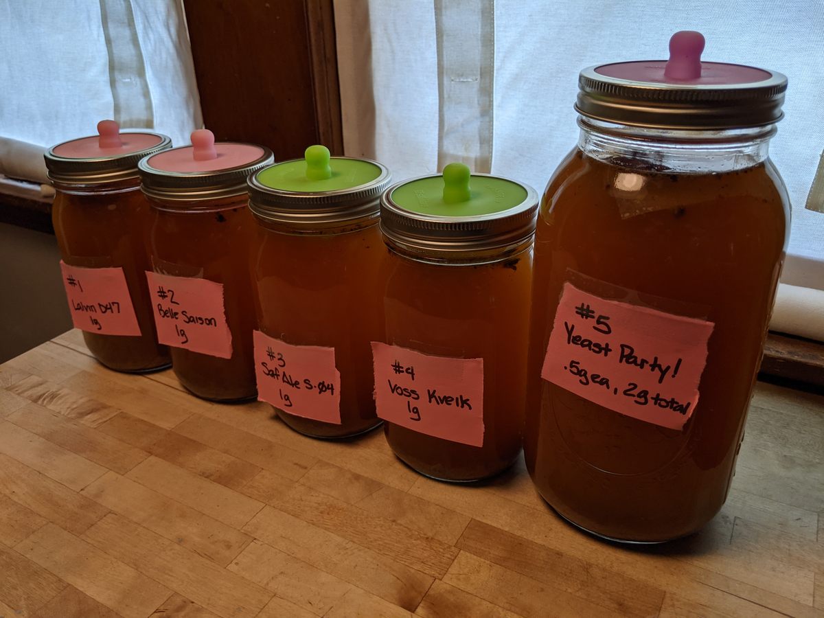 My mad experiment.