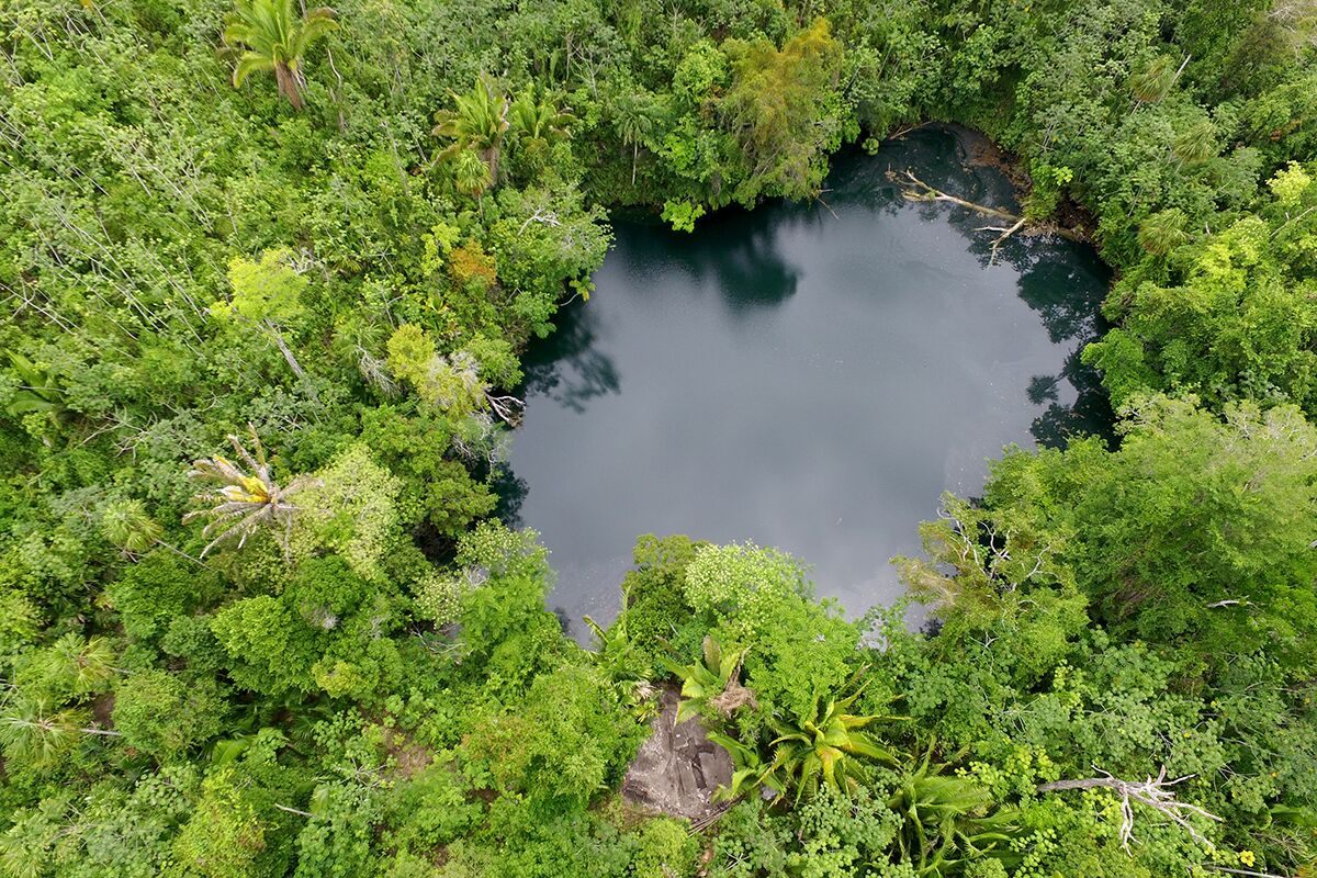 A drone photo of the sinkhole in which the tooth was found.