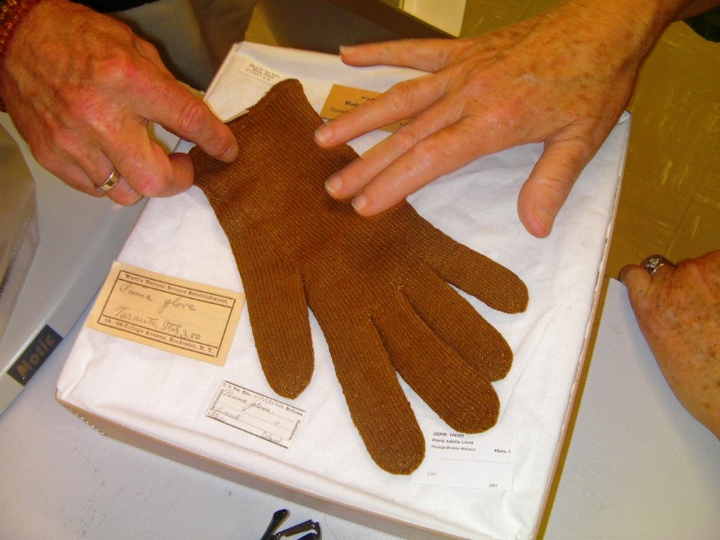 This glove, likely dating from the late 1800s, was woven from a mixture of wool and sea silk. It is currently in the collection of the Smithsonian.