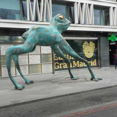 View of  the Lucky Frog