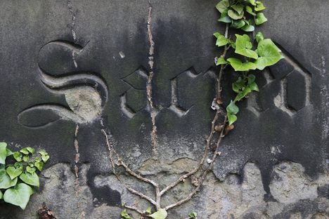 "Sacred," carved in gothic script on a Victorian gravestone with ivy.