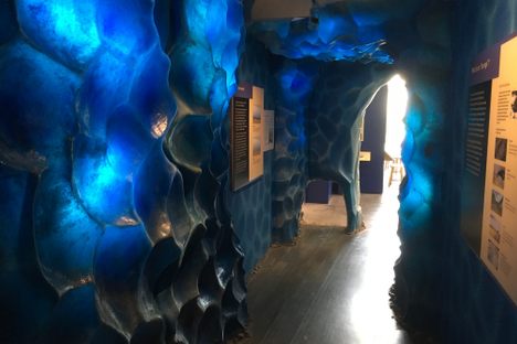 Another view of the ice cave exhibit.