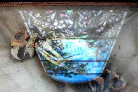 Society Adventures: The Entombed Parrot of Woodlawn Cemetery