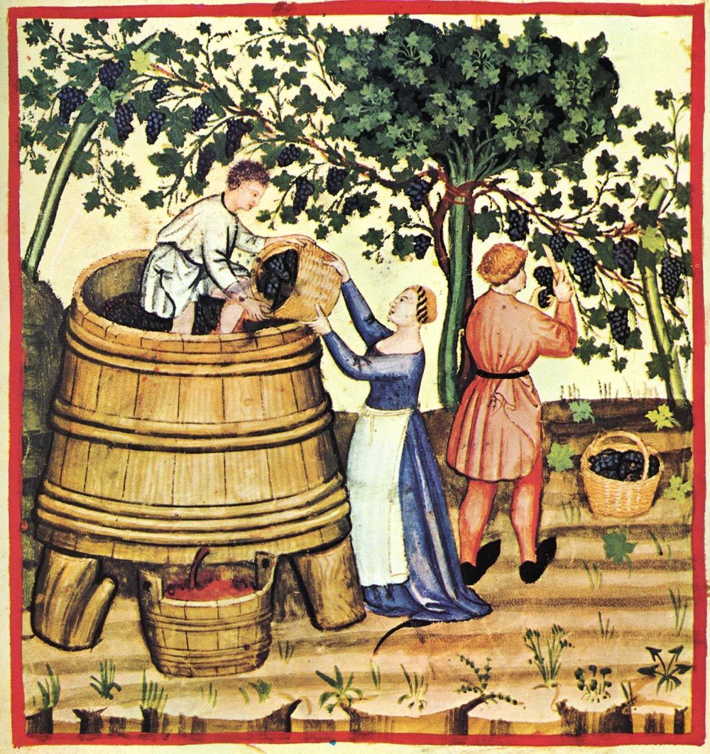 French wine-making.