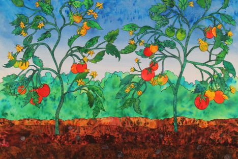 The Comfort Seeds inspired Diez to become a seed saver.