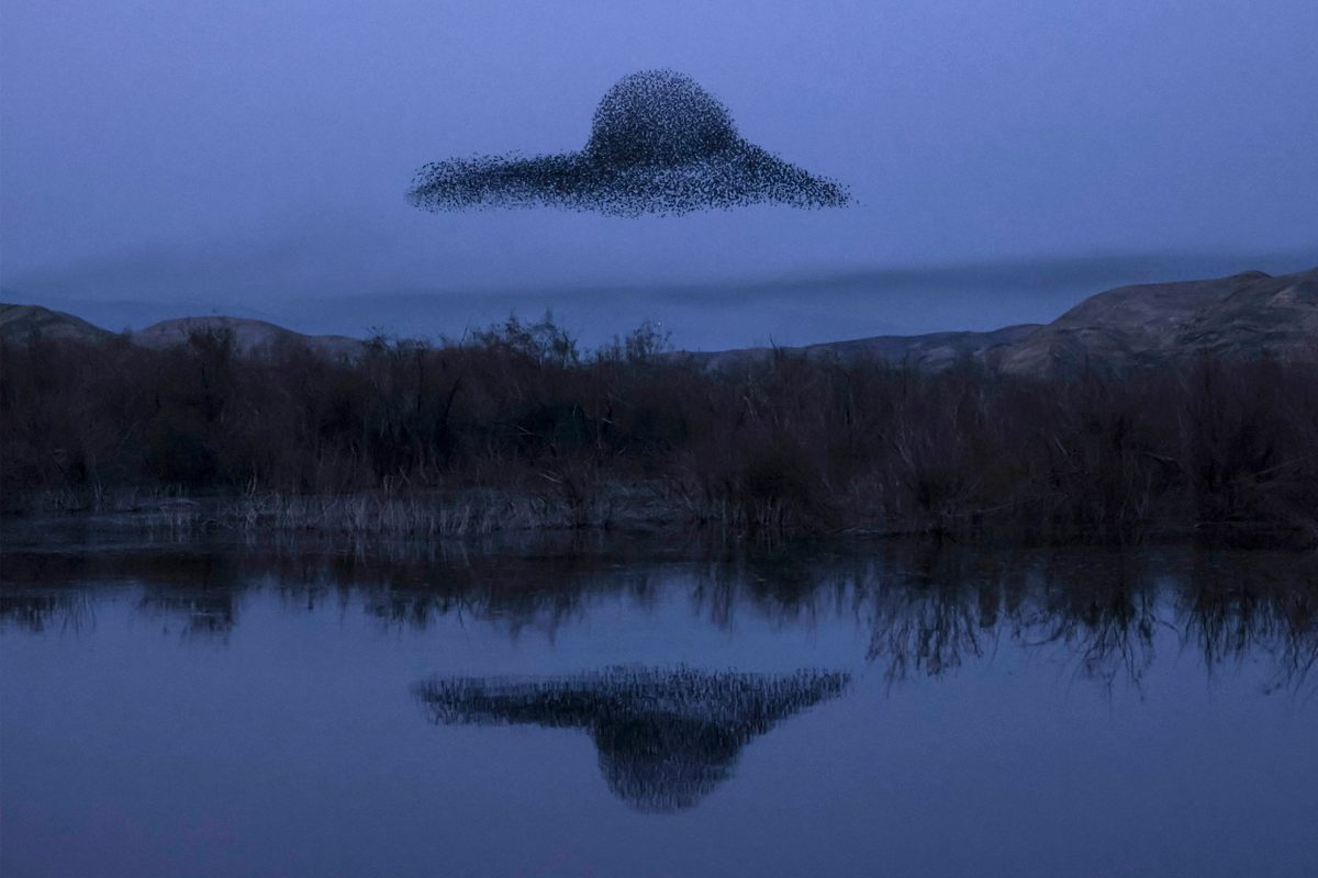 UFOs are not (yet) among us. Unless you count this murmuration of starlings above the Jordan Valley in the West Bank on February 7, 2021.
