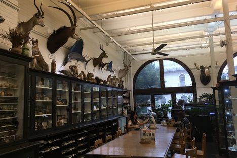 The Edna Lawrence Nature Lab.