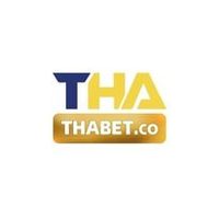 Profile image for thienhabetthabetco
