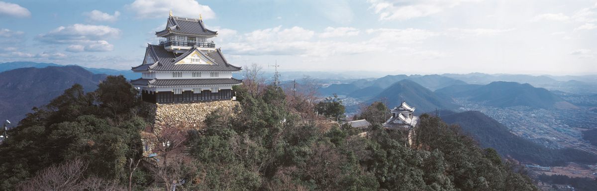 The Nagara River sits at the foot of Mt. Kinka, crested by Gifu Castle.