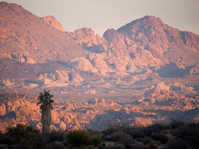 The Joshua Tree Memorial Park is situated adjacent to the National Park. 