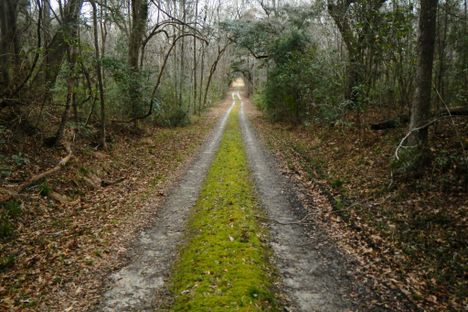 The Laurens Run, named for the path the revolutionary colonel took to his death, will be part of the Liberty Trail network.