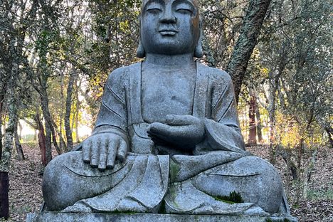 A Buddha statue.