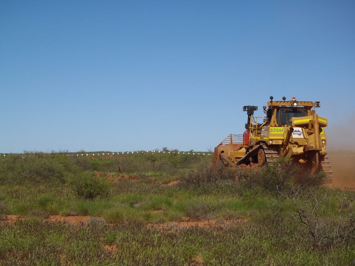 Workers begin to clear the brush.