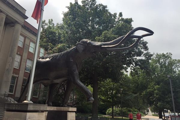 Archie the Mammoth greets you.