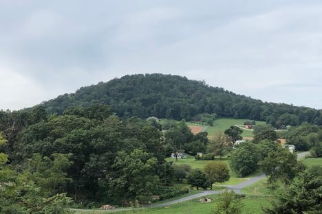 Mole Hill