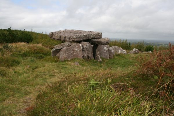 Enclosure in Toberboe OR Killenny More