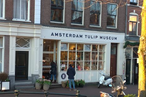 Amsterdam Tulip Museum.
