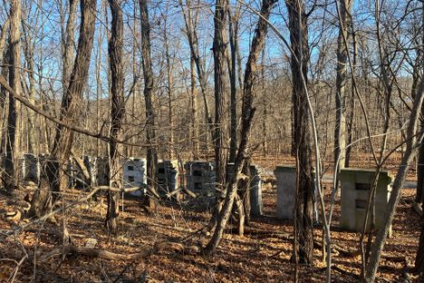 Van Cortlandt Park Monoliths 