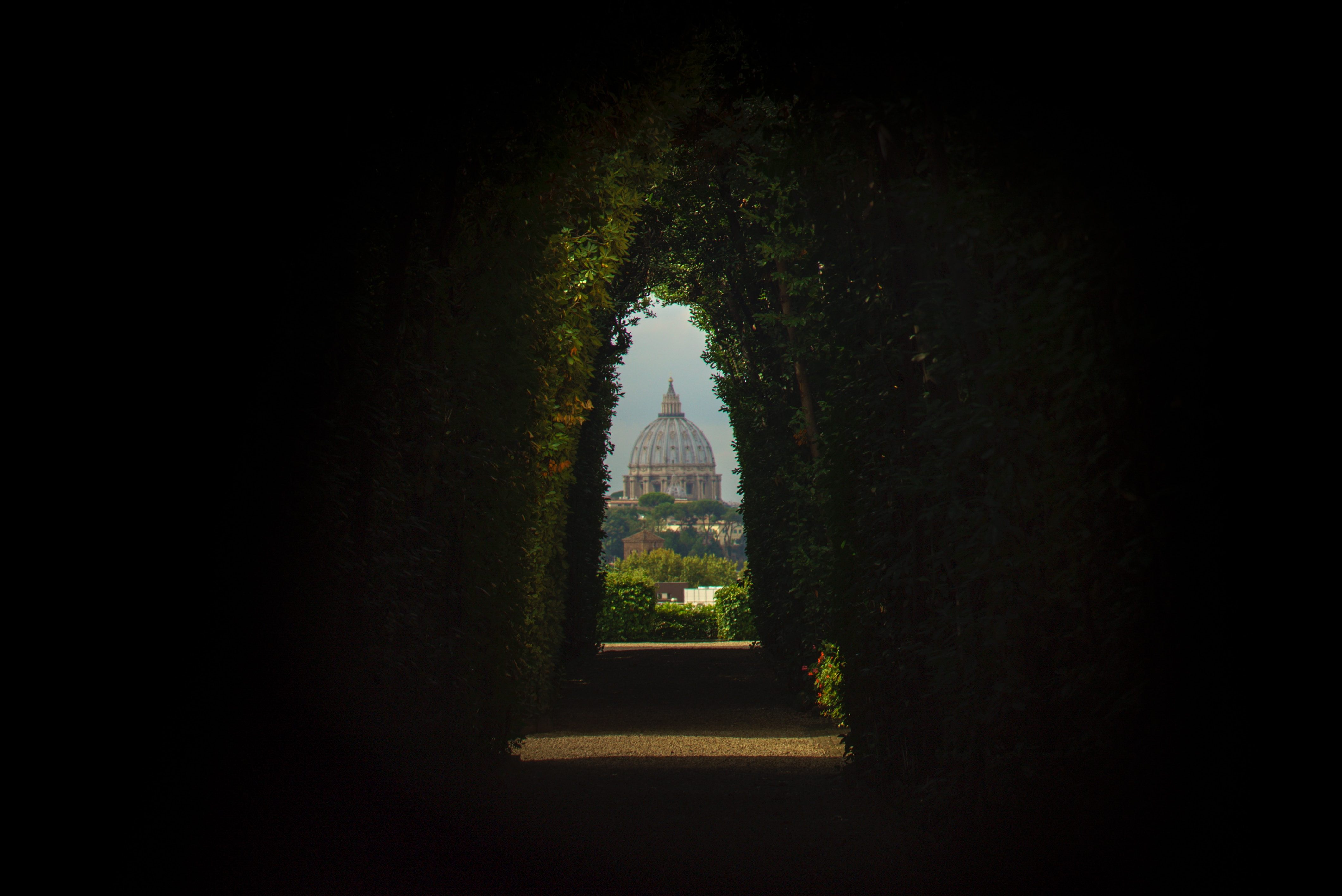 Travelers on our 2019 trip, "Rome Behind Locked Doors: Music, Magic, & Secret Crypts," will be treated to a rare view of St. Peter’s Basilica.