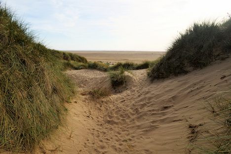 Large sand dune