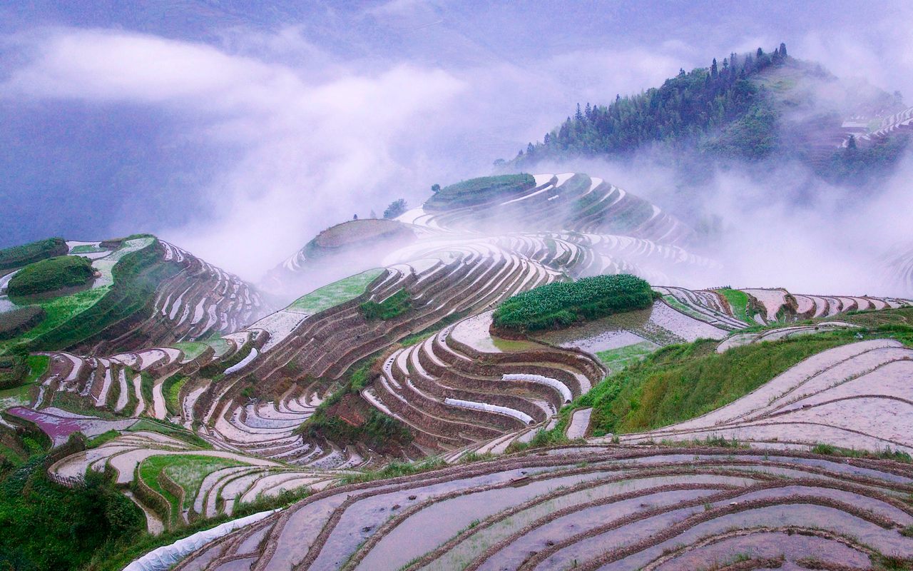 Rice terraces in China's Guangxi Province.