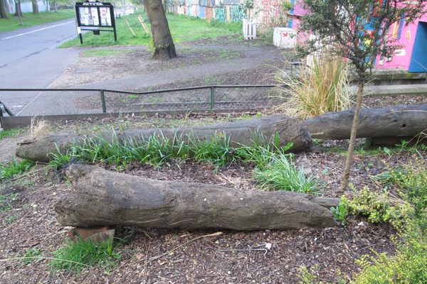 Old Wooden Water Pipes