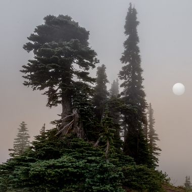 A foggy view from Washington's Mount Rainier, the most glaciated peak in the continental United States.