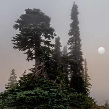 从华盛顿雷尼尔山(Mount Rainier)看到的雾蒙蒙的景象，雷尼尔山是美国大陆冰川覆盖最广泛的山峰。