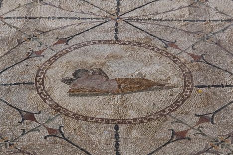 Risan Roman Mosaics