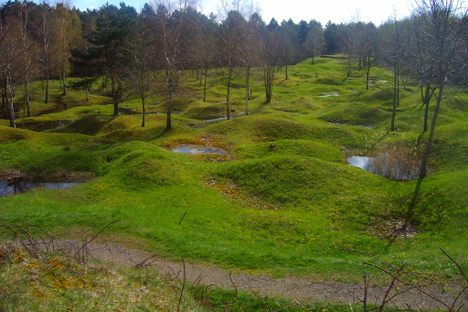 World War I impact craters, Verdun, 2005. 