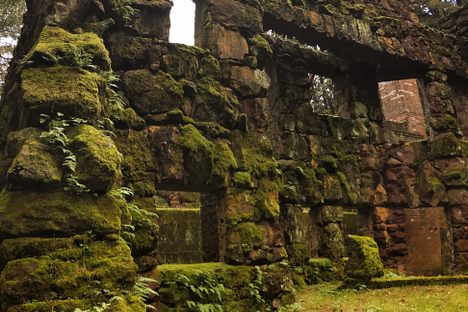 The Wolf House - Jack London State Park