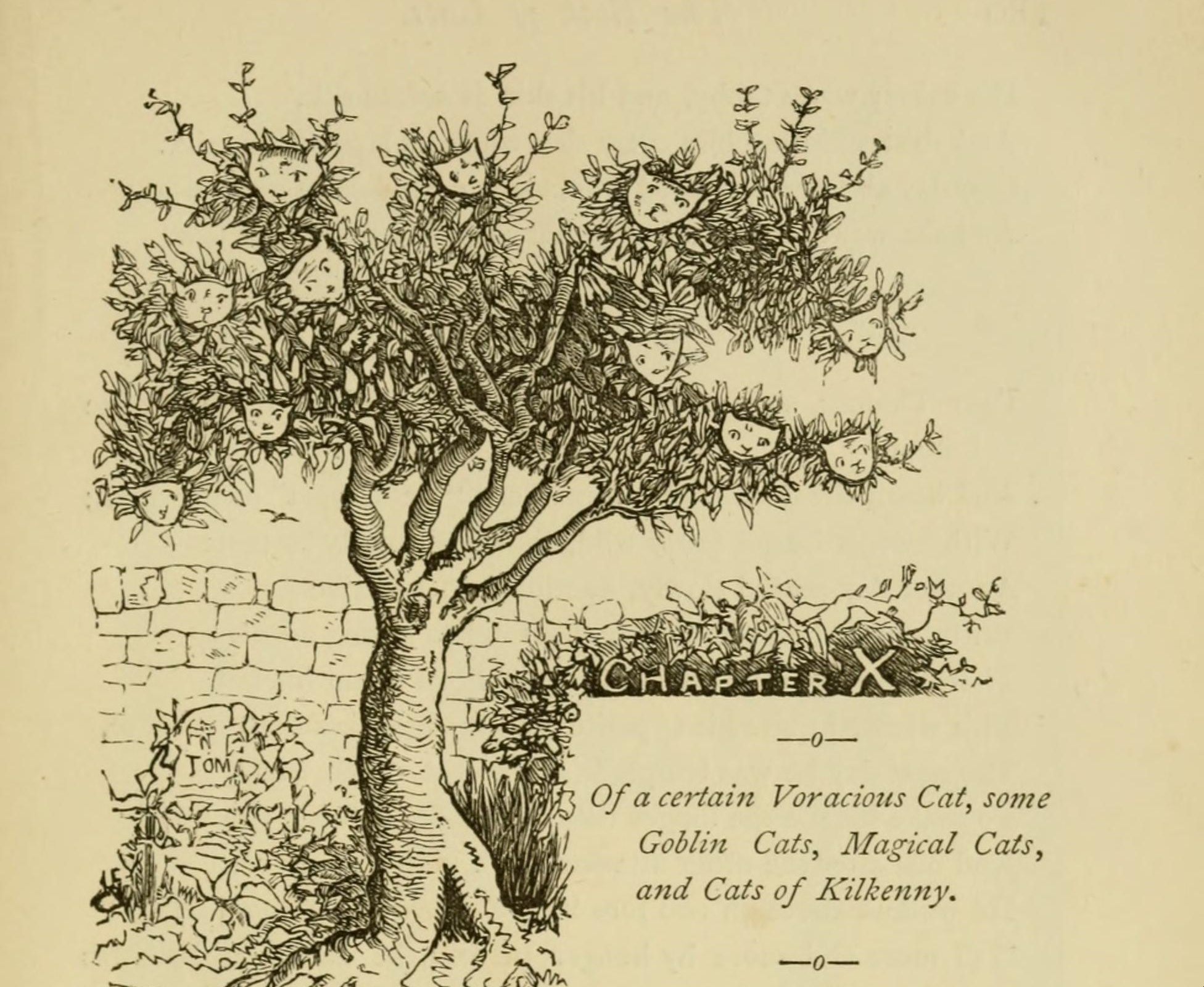 Chapter 10 deals with voracious, goblin, and magical cats.