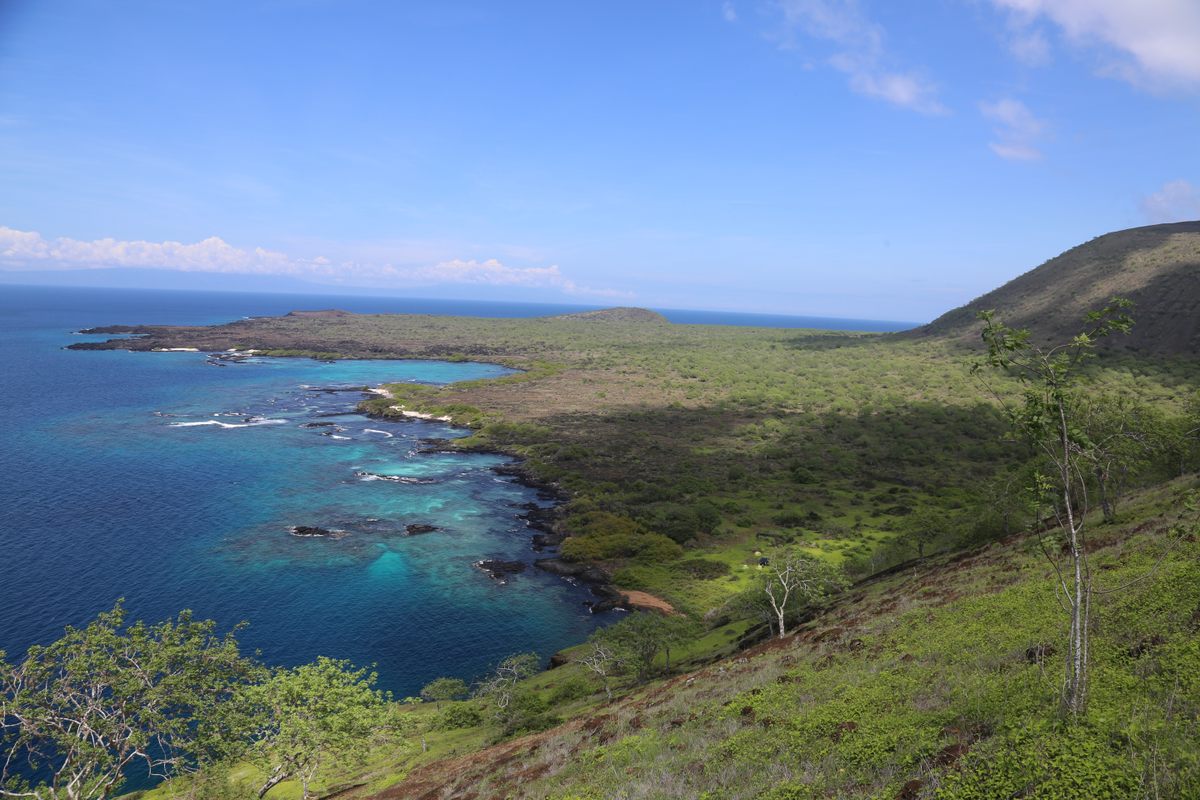 Santiago Island, where the reptiles were repatriated in January 2019.