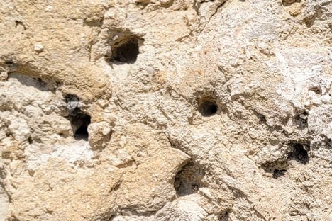 Close-up of the bullet holes.
