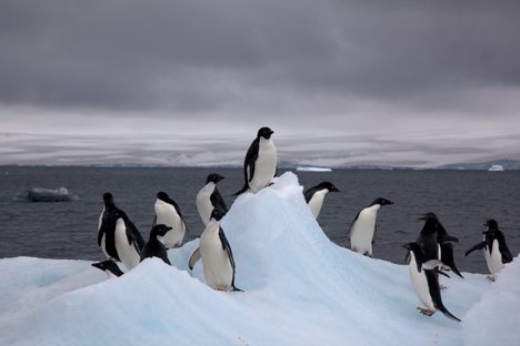 The Hole in the Ozone Layer Above Antarctica Might Be Healing Itself