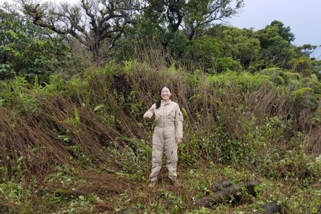 Snailer and malacologist Norine Yeung in a field of trampled uluhe.