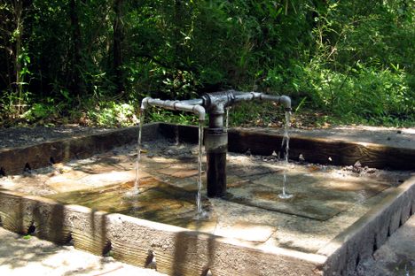 God's Acre Healing Springs