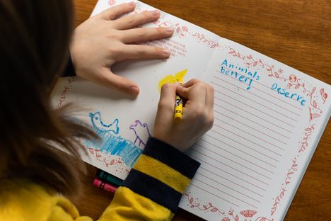 From an interactive journal about protecting the Earth to an at-home Egyptian pyramid dig, these aren’t your typical kids gifts.