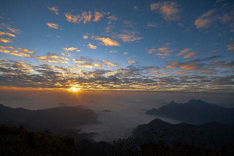 Phu Chi Fah