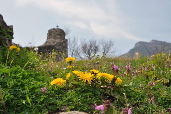 Kula Gradina